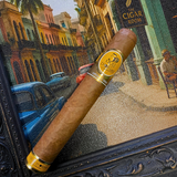 Quai D'Orsay 50 Años Especial D'Orsay | Single Cigar