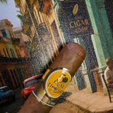 Quai D'Orsay 50 Años Especial D'Orsay | Single Cigar