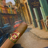 Arturo Fuente Chateau Fuente Natural | Single Cigar
