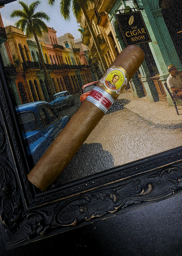 Cigar with a label in front of a framed picture of a street scene. Bolívar Libertador Regional Edition France 
