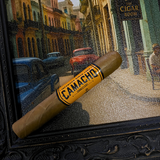 Camacho Connecticut Robusto Cigar