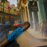 Camacho Ecuador Robusto | Medium-Full Cigar | Honduras