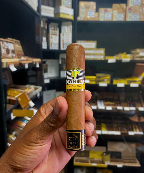 Cigar held in a hand with shelves of cigars in the background