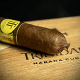 Trinidad Fundadores Cigar single