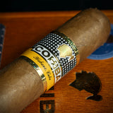 Cohiba Siglo VI