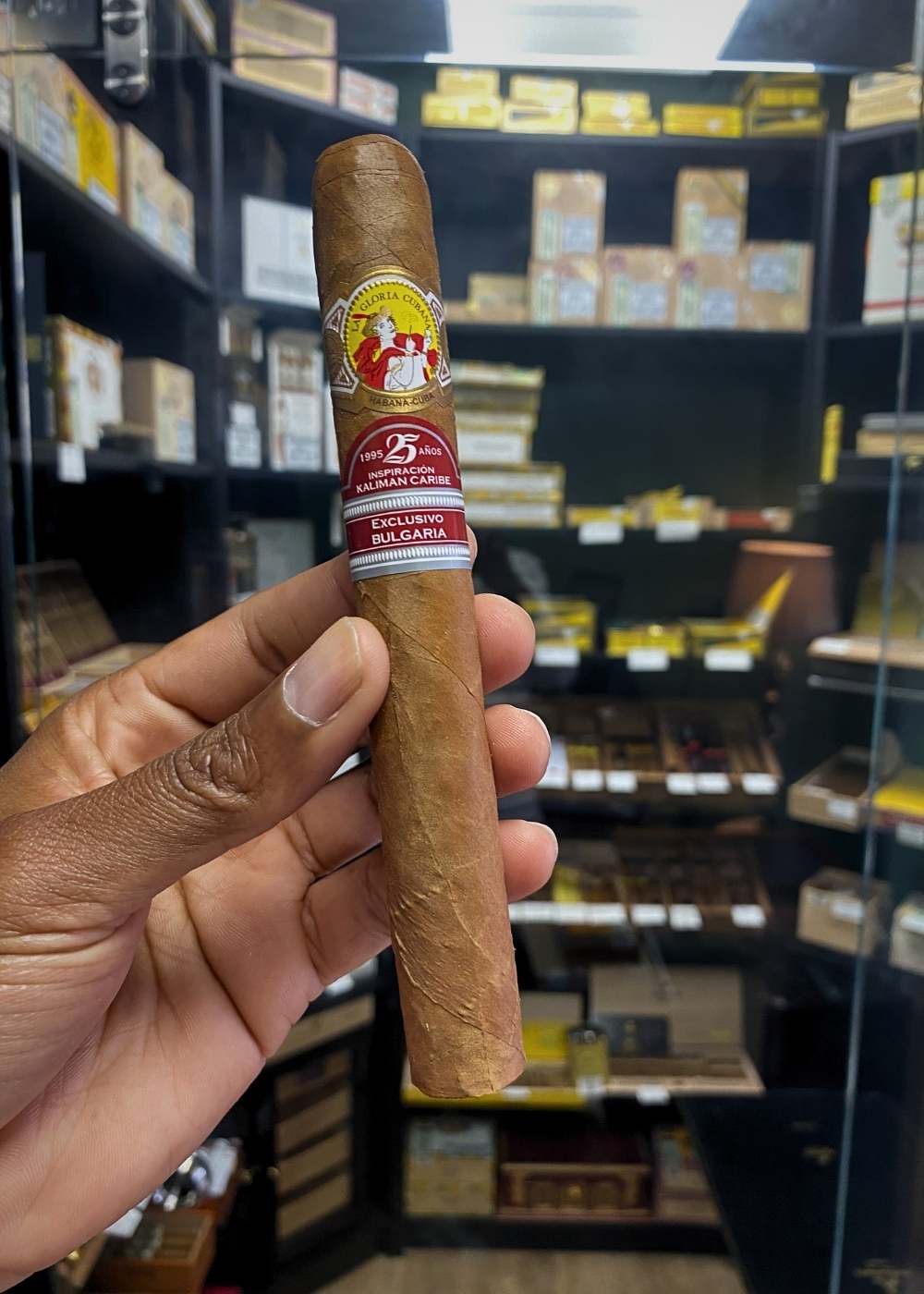 Cigar held by a hand with a blurred store shelf in the background