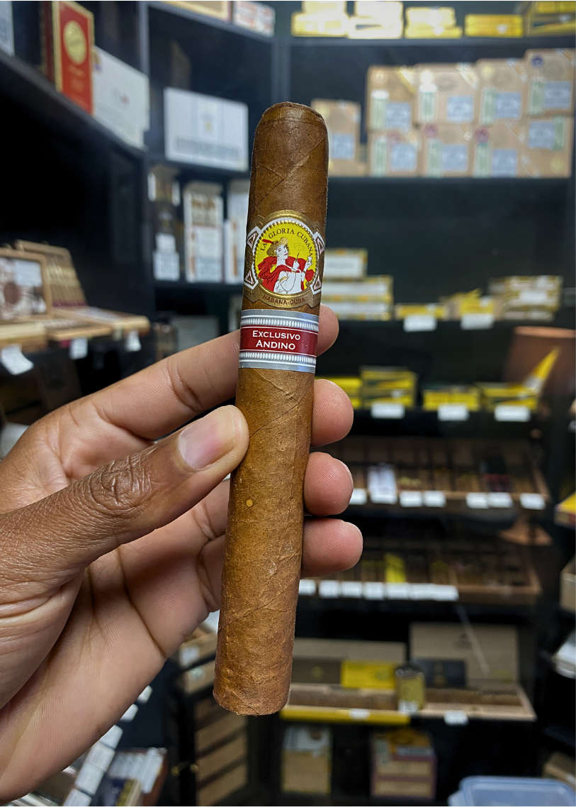 Cigar held by a hand with a blurred store shelf in the background