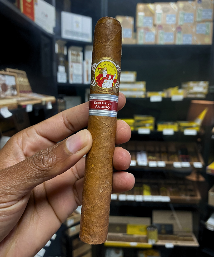 Cigar held by a hand with a blurred store shelf in the background