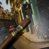 Casa Magna XV Anniversary Colorado