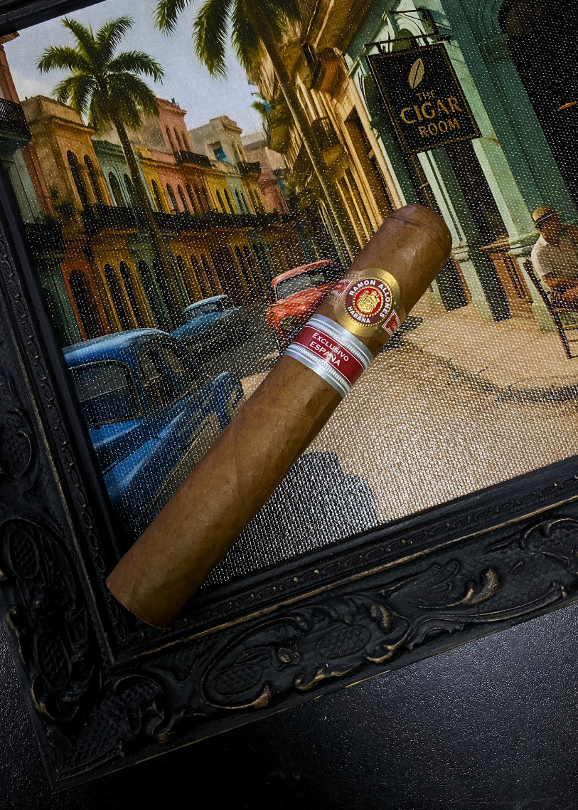 Cigar with a brand logo held in front of a scenic street view, possibly in a tropical or Latin American city.