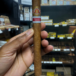 Cigar held in a hand with shelves of cigars in the background. Ramón Allones Grandes Regional Edition Spain