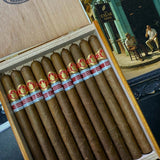 Saint Luis Rey Adamastor Edición Regional Portugal - Box of 10