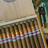 Saint Luis Rey Adamastor Edición Regional Portugal - Box of 10