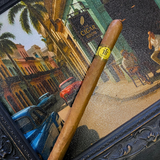 Trinidad Fundadores Cigar single
