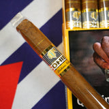 Cohiba Wide Short (6)