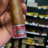 Ramon Allones Phoenicio 40 Aniversario Exclusivo Libano | Single Cigar