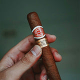 Aliados Original Robusto Cigars - 20 Box